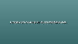 B2B电商AI与GEO优化效果对比 泉州石材贸易案例成本效益分析