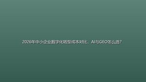 2026年中小企业数字化转型成本对比，AI与GEO怎么选？